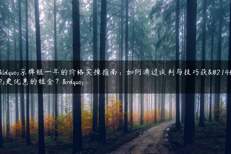 “京牌租一年的价格实操指南：如何通过谈判与技巧获取更优惠的租金？”
