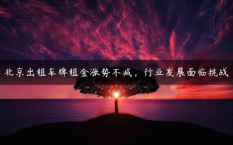 北京出租车牌租金涨势不减，行业发展面临挑战