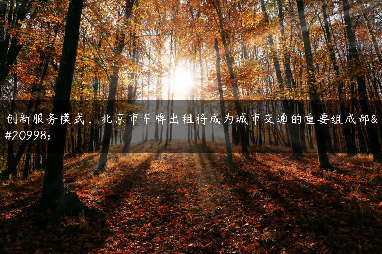 创新服务模式，北京市车牌出租将成为城市交通的重要组成部分
