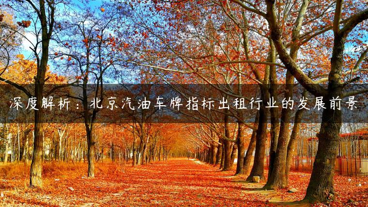 深度解析：北京汽油车牌指标出租行业的发展前景