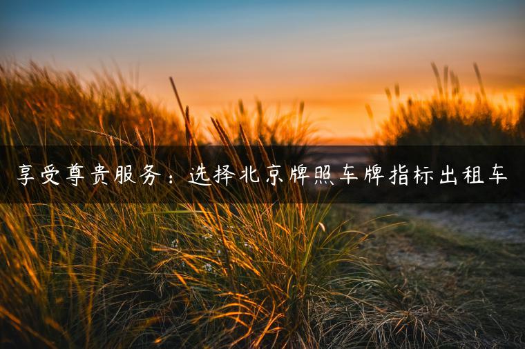 享受尊贵服务：选择北京牌照车牌指标出租车