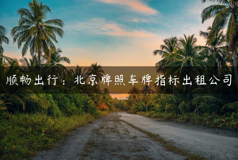 顺畅出行：北京牌照车牌指标出租公司