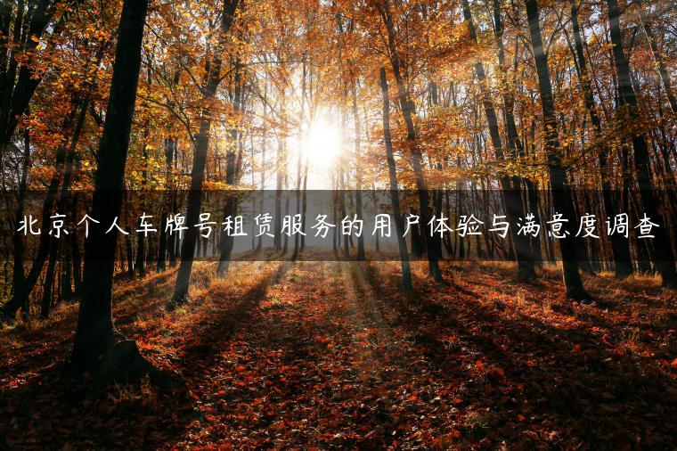 北京个人车牌号租赁服务的用户体验与满意度调查