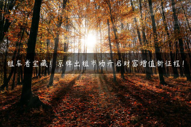 租车者宝藏！京牌出租市场开启财富增值新征程！