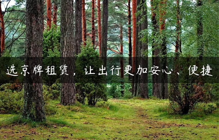 选京牌租赁，让出行更加安心、便捷