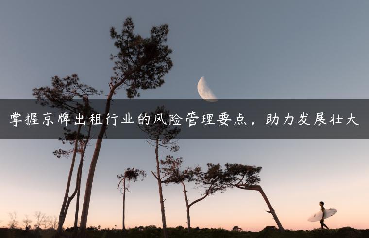 掌握京牌出租行业的风险管理要点，助力发展壮大