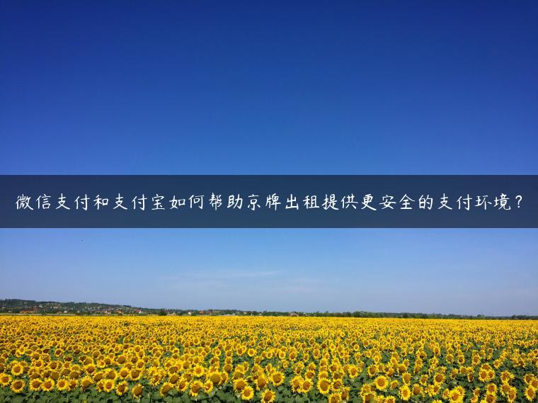 微信支付和支付宝如何帮助京牌出租提供更安全的支付环境？-金牌车友