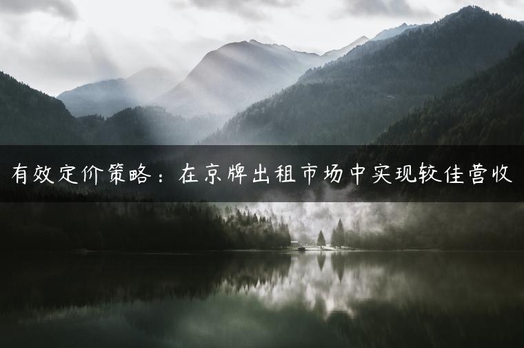 有效定价策略：在京牌出租市场中实现较佳营收