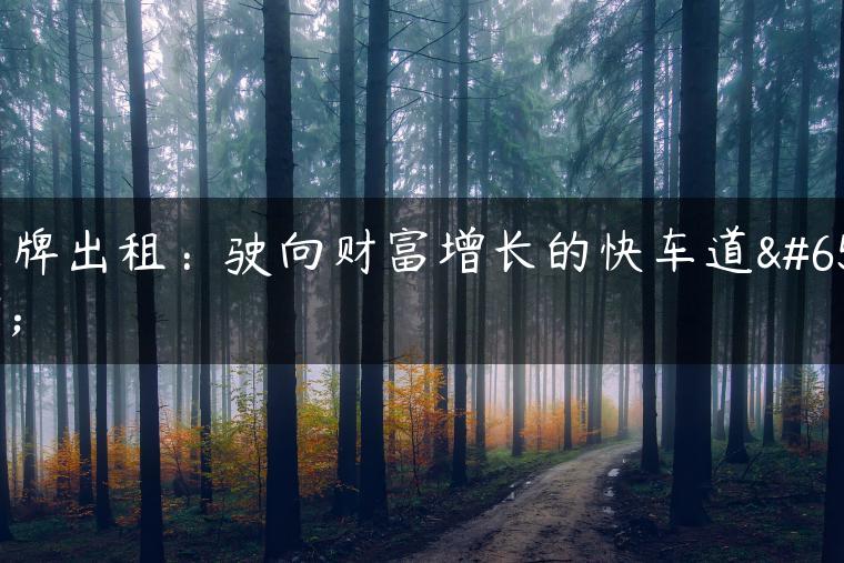京牌出租：驶向财富增长的快车道！