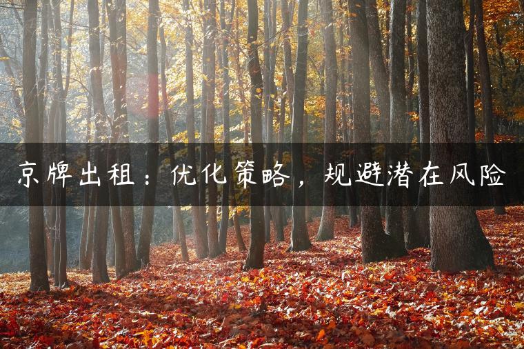 京牌出租：优化策略，规避潜在风险