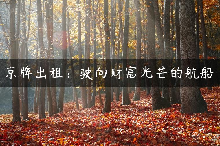 京牌出租：驶向财富光芒的航船