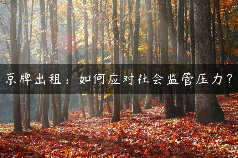 京牌出租：如何应对社会监管压力？