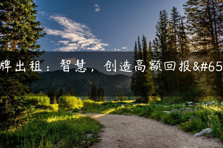 京牌出租：智慧，创造高额回报！