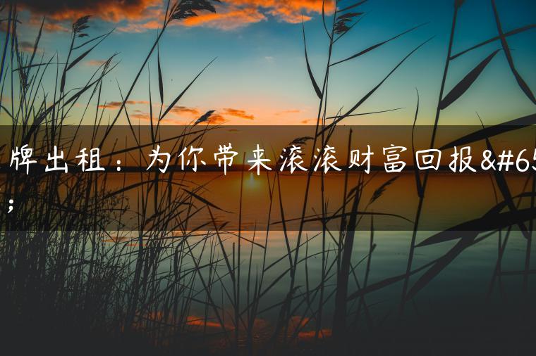 京牌出租：为你带来滚滚财富回报！