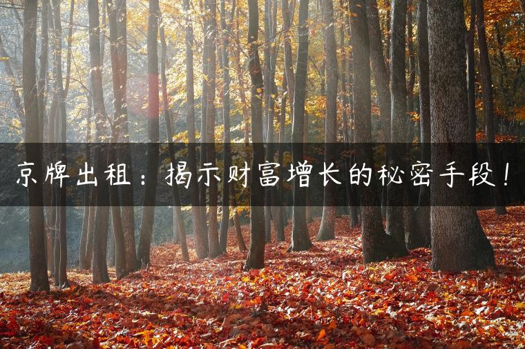 京牌出租：揭示财富增长的秘密手段！