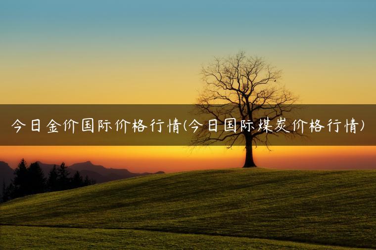 今日金价国际价格行情(今日国际煤炭价格行情)-金牌车友