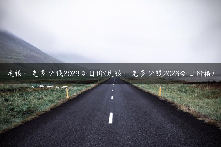 足银一克多少钱2023今日价(足银一克多少钱2023今日价格)