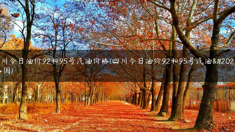 四川今日油价92和95号汽油价格(四川今日油价92和95号汽油价格国)