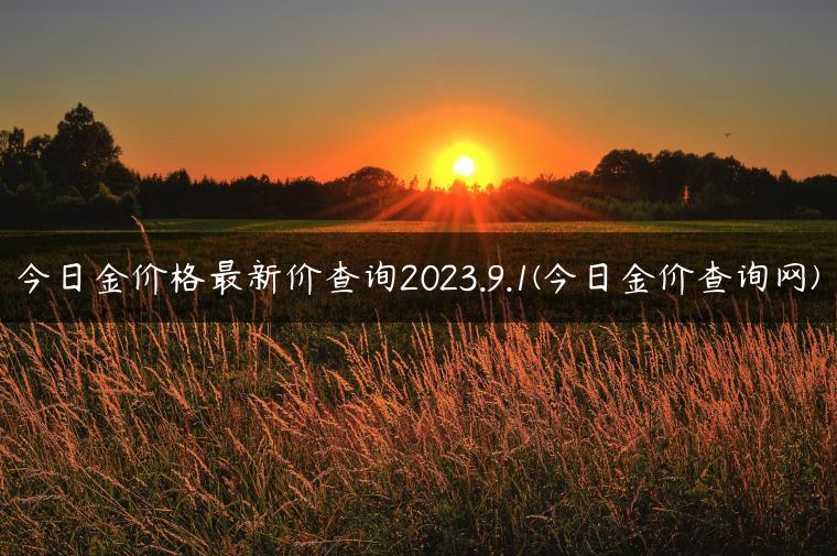 今日金价格最新价查询2023.9.1(今日金价查询网)
