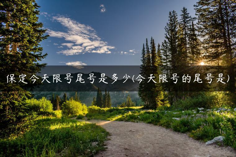 保定今天限号尾号是多少(今天限号的尾号是)