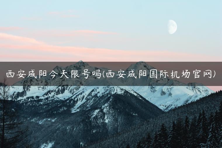 西安咸阳今天限号吗(西安咸阳国际机场官网)