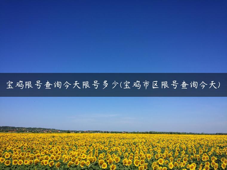 宝鸡限号查询今天限号多少(宝鸡市区限号查询今天)