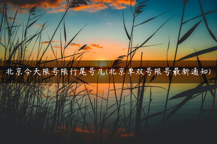 北京今天限号限行尾号几(北京单双号限号最新通知)