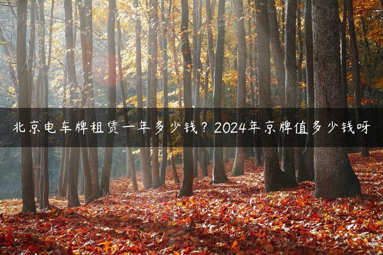 北京电车牌租赁一年多少钱？2024年京牌值多少钱呀