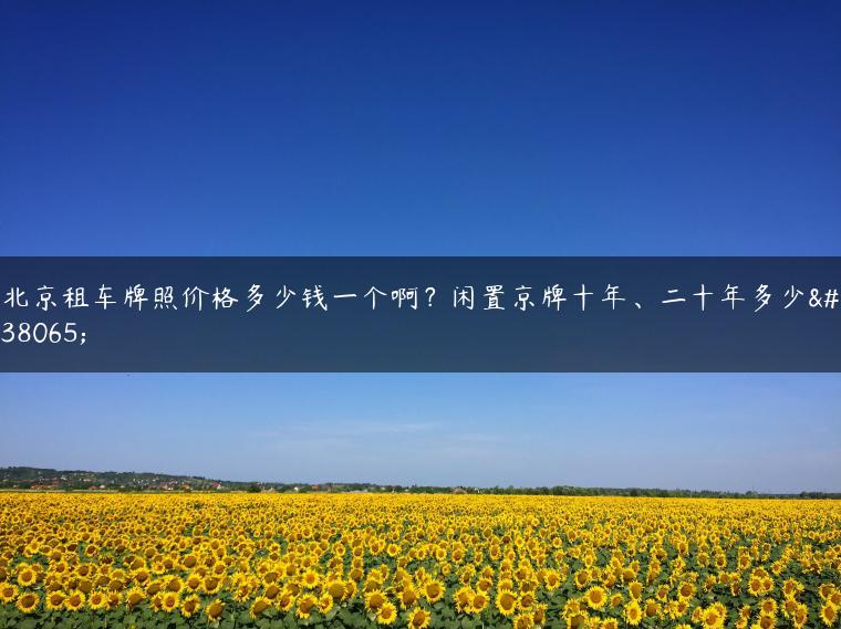 北京租车牌照价格多少钱一个啊？闲置京牌十年、二十年多少钱