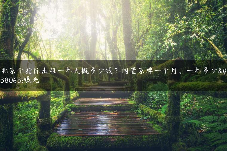 北京个指标出租一年大概多少钱？闲置京牌一个月、一年多少钱曝光