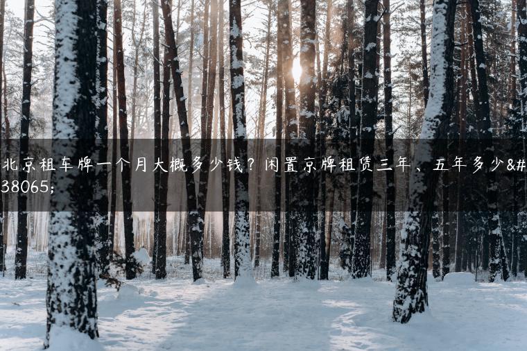 北京租车牌一个月大概多少钱？闲置京牌租赁三年、五年多少钱