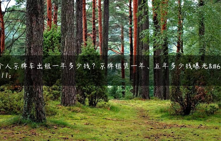 个人京牌车出租一年多少钱？京牌租赁一年、五年多少钱曝光？