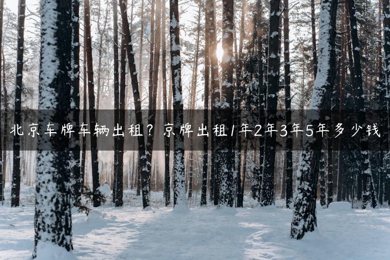 北京车牌车辆出租？京牌出租1年2年3年5年多少钱