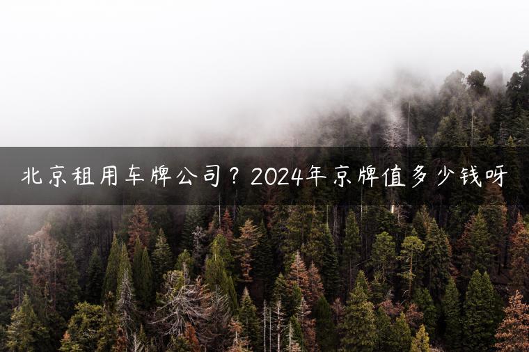 北京租用车牌公司？2024年京牌值多少钱呀