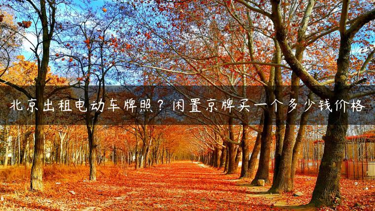 北京出租电动车牌照？闲置京牌买一个多少钱价格