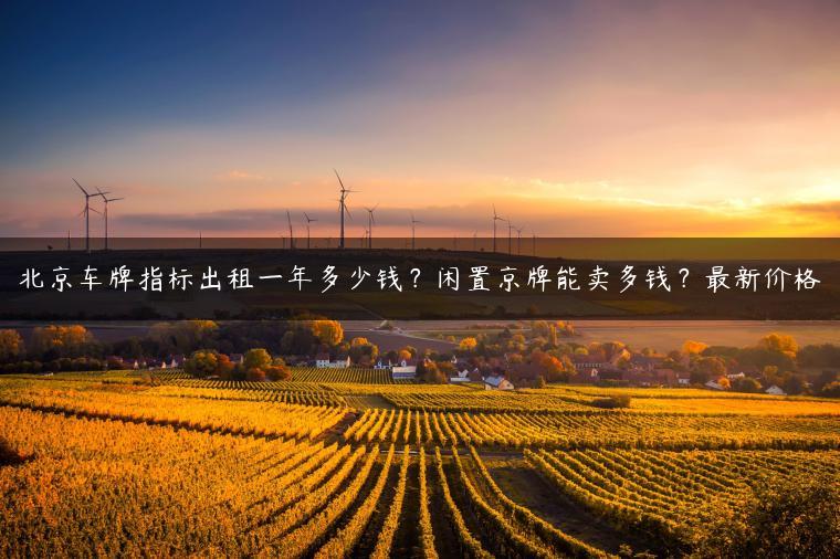 北京车牌指标出租一年多少钱？闲置京牌能卖多钱？最新价格