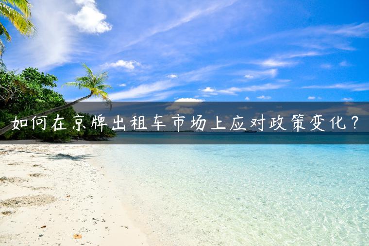 如何在京牌出租车市场上应对政策变化？