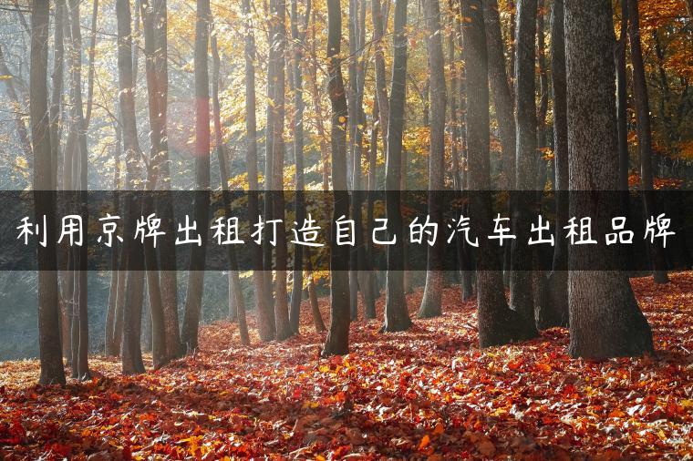 利用京牌出租打造自己的汽车出租品牌