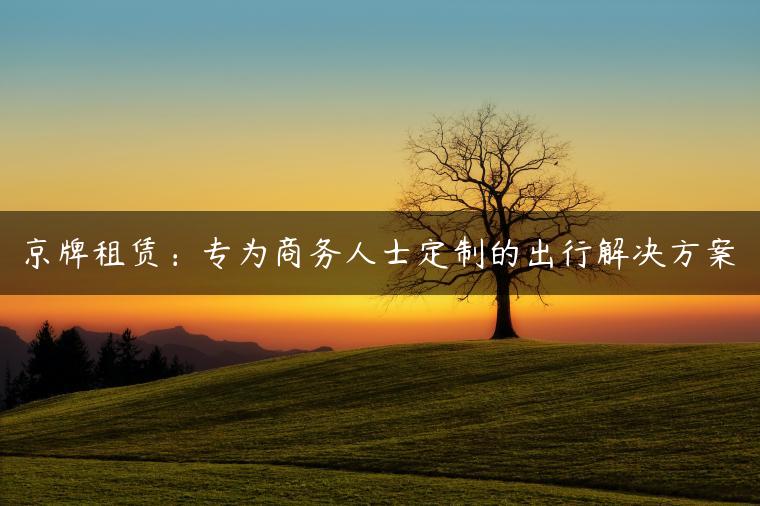 京牌租赁：专为商务人士定制的出行解决方案