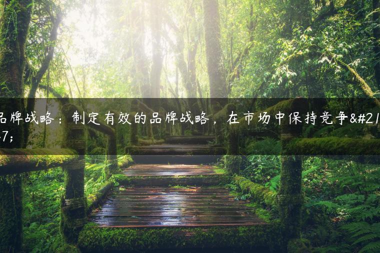 品牌战略：制定有效的品牌战略，在市场中保持竞争力