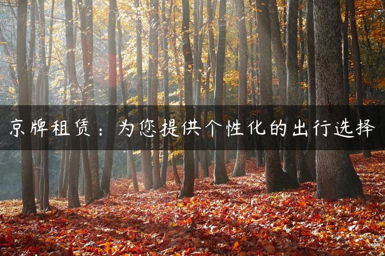 京牌租赁：为您提供个性化的出行选择-金牌车友
