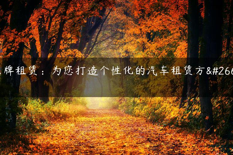 京牌租赁：为您打造个性化的汽车租赁方案-金牌车友