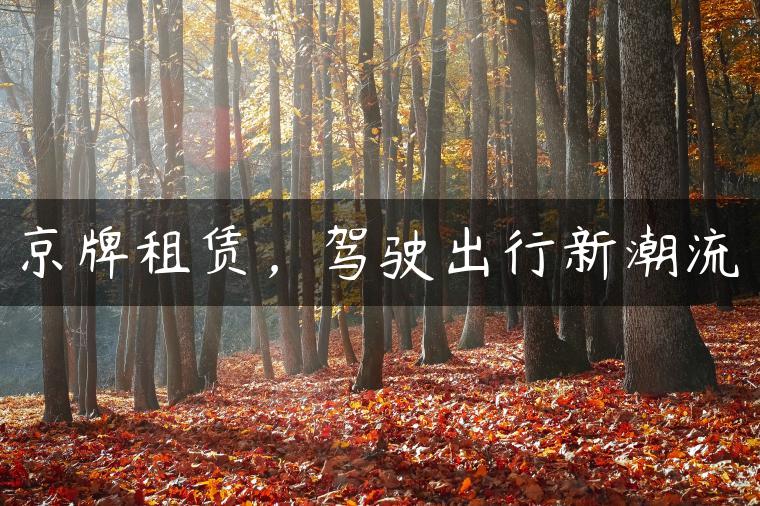 京牌租赁，驾驶出行新潮流