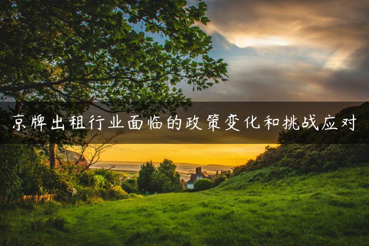 京牌出租行业面临的政策变化和挑战应对