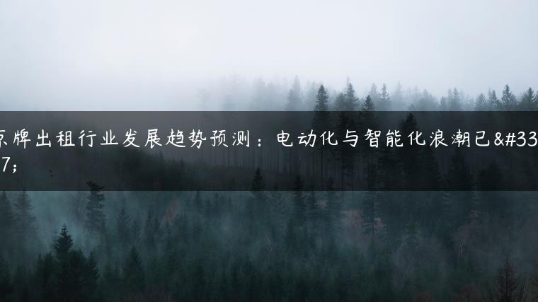 京牌出租行业发展趋势预测：电动化与智能化浪潮已至