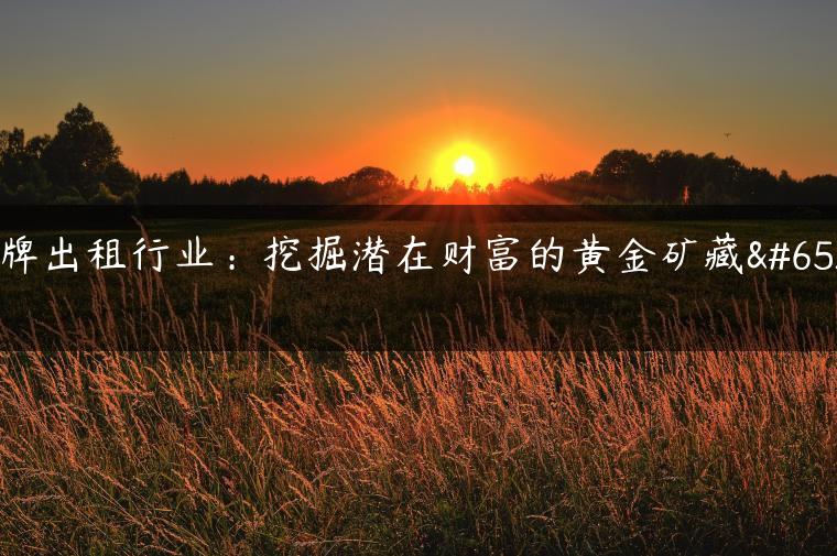 京牌出租行业：挖掘潜在财富的黄金矿藏！