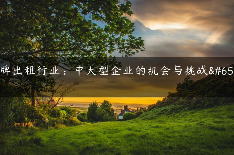 京牌出租行业：中大型企业的机会与挑战！