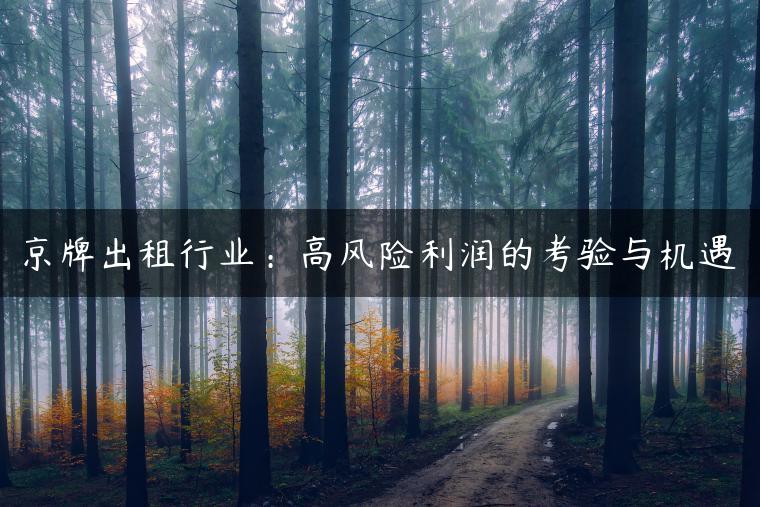 京牌出租行业：高风险利润的考验与机遇