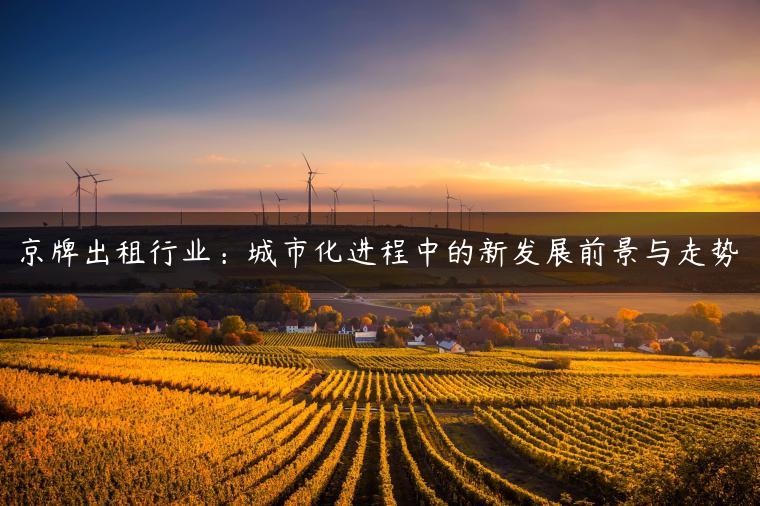 京牌出租行业：城市化进程中的新发展前景与走势