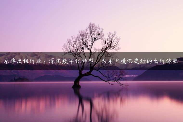 京牌出租行业：深化数字化转型，为用户提供更好的出行体验-金牌车友
